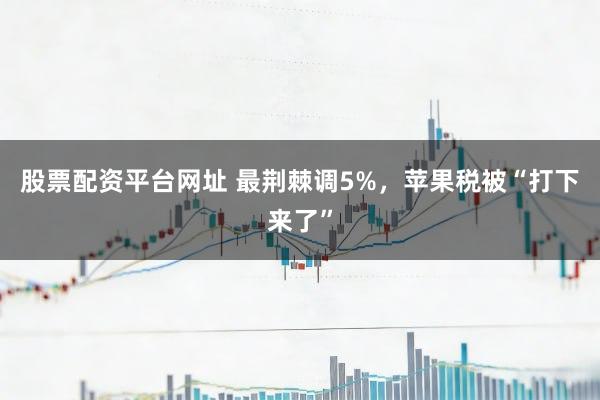 股票配资平台网址 最荆棘调5%，苹果税被“打下来了”