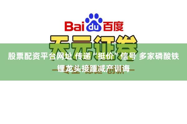 股票配资平台网址 传递“挺价”信号 多家磷酸铁锂龙头接踵减产训诲